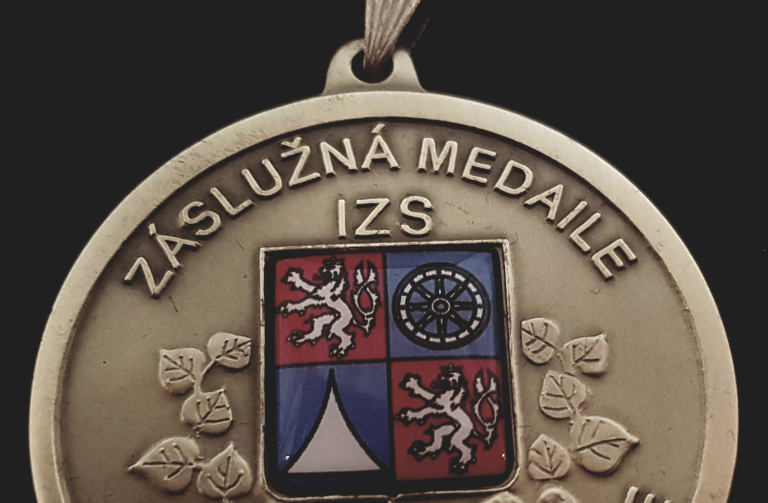 medaile - detail